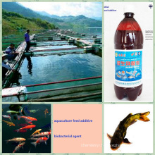 Bio Preparate Organic for Feed Additive Promote Aquaculture Growth